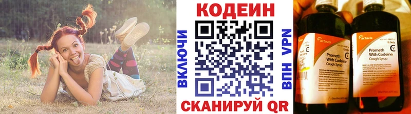 Кодеин Purple Drank  где найти наркотики  Магас 