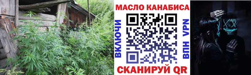 Дистиллят ТГК THC oil Магас