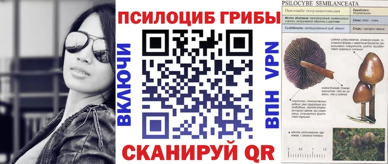 Псилоцибиновые грибы мицелий купить наркотик Магас