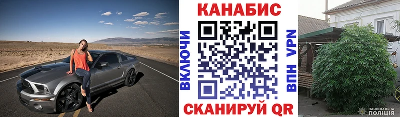 MEGA вход  купить   Магас  Шишки марихуана Ganja 